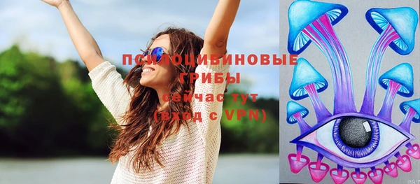 дмт Абаза