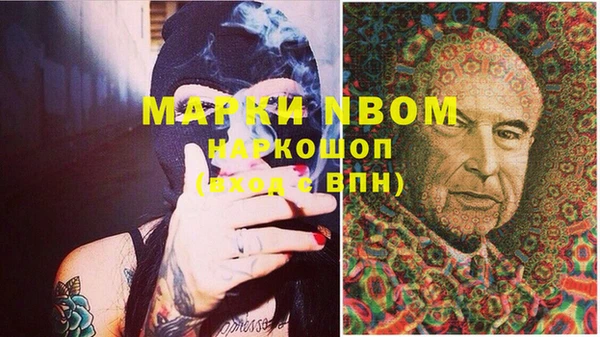 не бодяженный Новозыбков