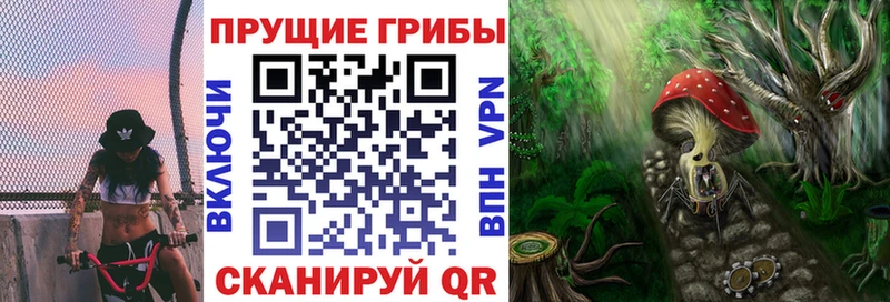сколько стоит Дмитровск Галлюциногенные грибы прущие грибы